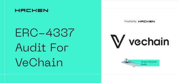 Ensuring the Integrity of VeChain’s Account Abstraction Layer: A Case Study