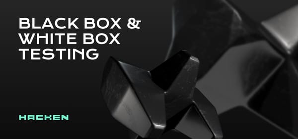 Black Box vs. White Box Testing